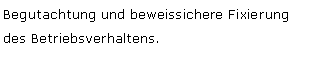 Textfeld: Begutachtung und beweissichere Fixierung des Betriebsverhaltens. 